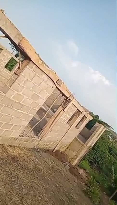Walls & window openings